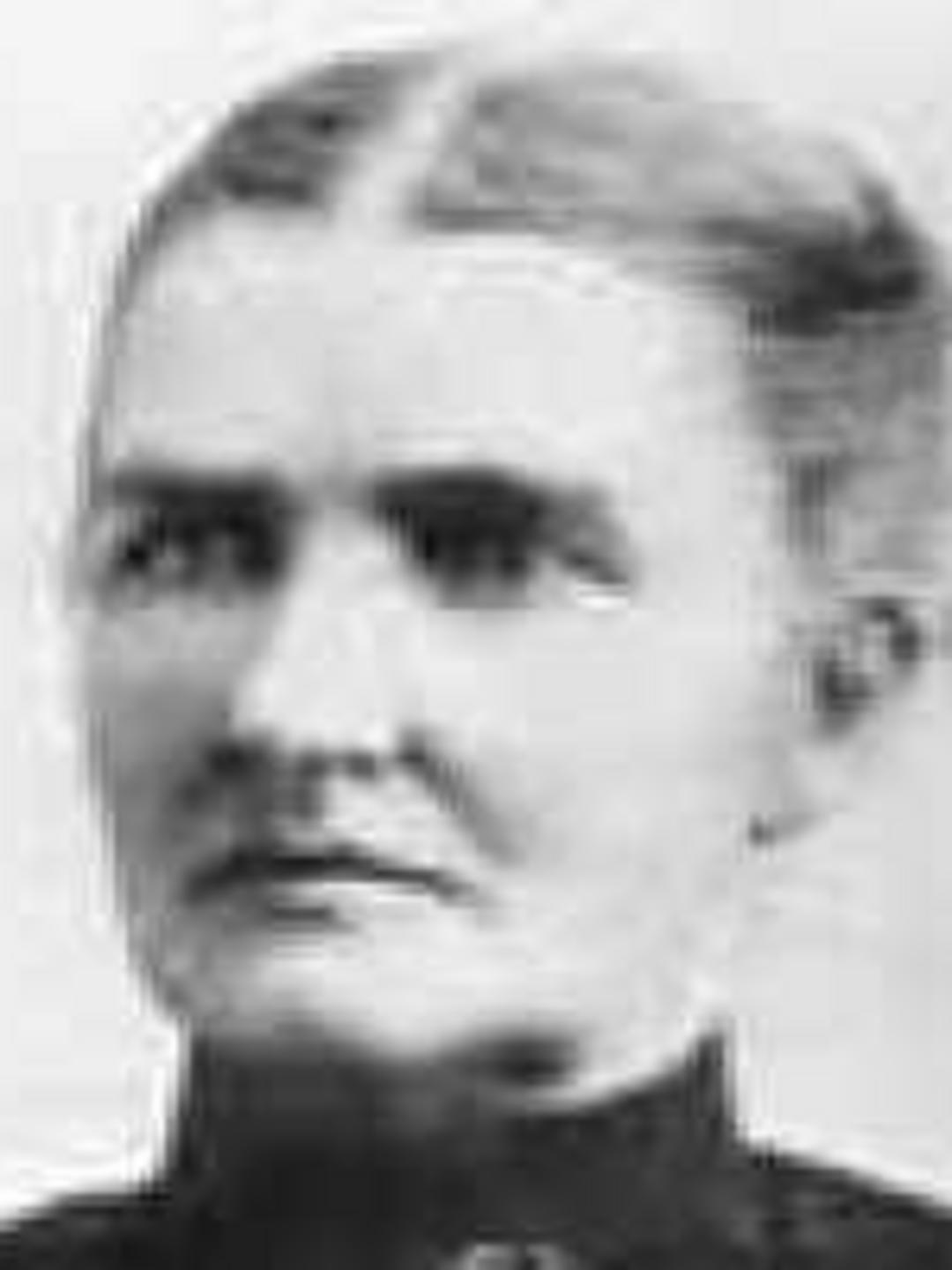 Phebe Eliza Harding (1845 - 1909) Profile